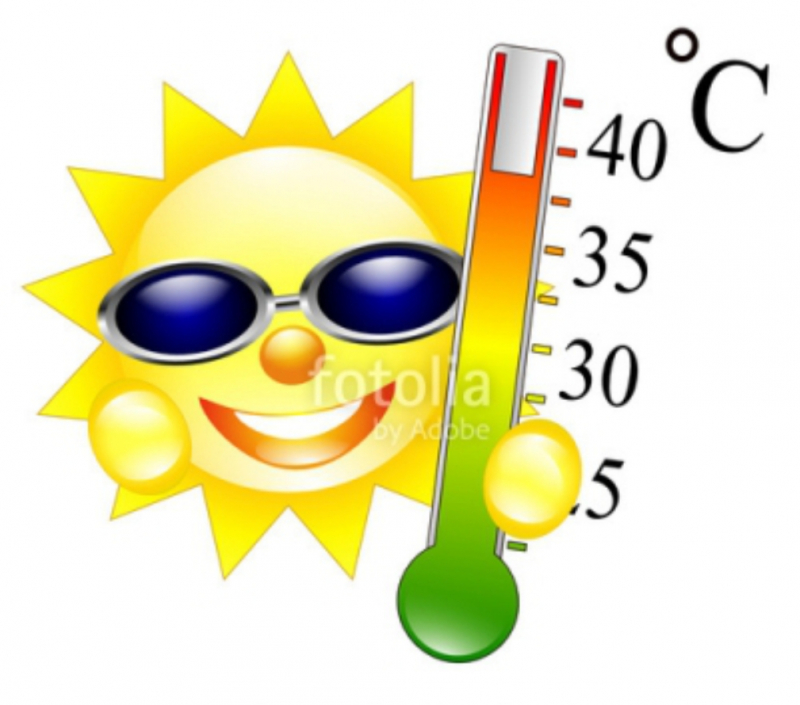 Bild: Auch bei sommerlichen Temperaturen macht Kino Spaß ! ! !
